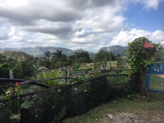 Viñales Farm