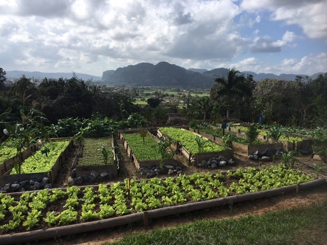 Viñales, Paraiso Farm