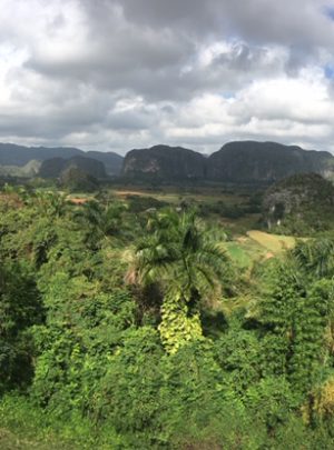 Viñales private tour