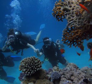 Snorkel Bay of Pigs