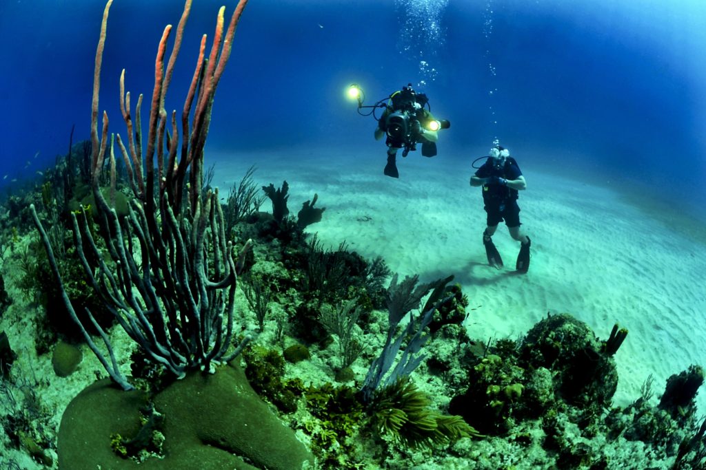 divin spot playa larga Cuba