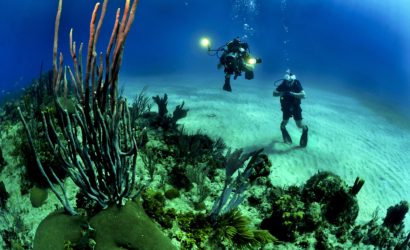 divin spot playa larga Cuba