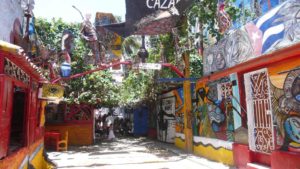 Callejon de Hamel Havana Cultural