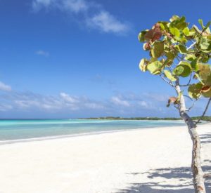 jardines del rey