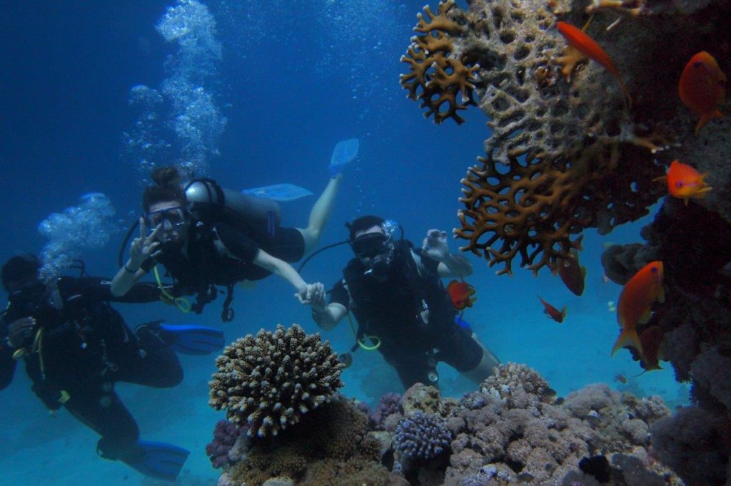 Havana Diving